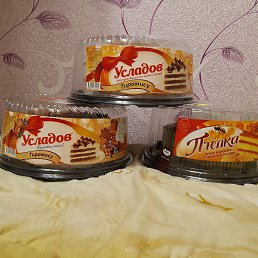  ., , 43  -  24  2019