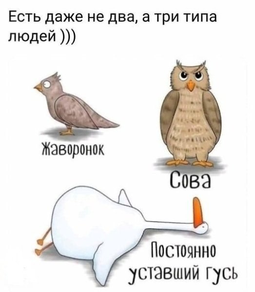 С каждого гуся по лайку и вперед в Новый год