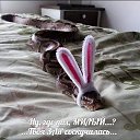 ���� �����, �����-��������� - ��������� 5 ���� 2019 � ������ ������ ��������