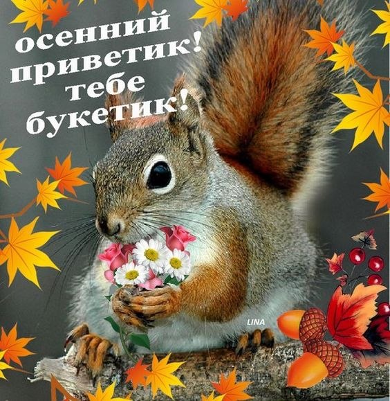 ✿ܓ☘ ������ ☕ ◕‿◕ ☕ ��������.☘ ✿ܓ - 5 ������� 2019 � 18:46