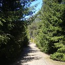 ���� ����, ������, 69 ��� - ��������� 21 �������� 2019