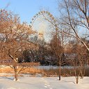 ���� ������, �����, 71 ��� - ��������� 19 ������ 2019 � ������ �� ��� ����� ������ ���� � ���� ����