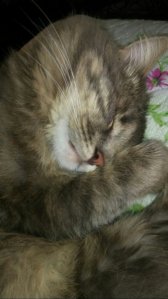 #_.          . , ... - 3