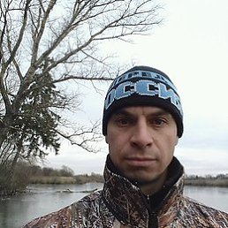 ���� �������, ����, 44 ���� - ��������� 12 ��� 2019