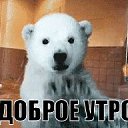 ���� Toha, ������, 38 ��� - ��������� 9 ���� 2019