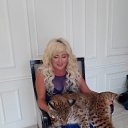 ���� ������, �����-���������, 58 ��� - ��������� 26 ������� 2019 � ������ ���� ����������