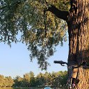 ���� ����, �����-���������, 44 ���� - ��������� 25 ������� 2019 � ������ ���� ����������