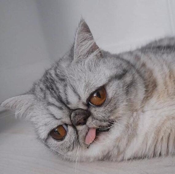 -        ,    .