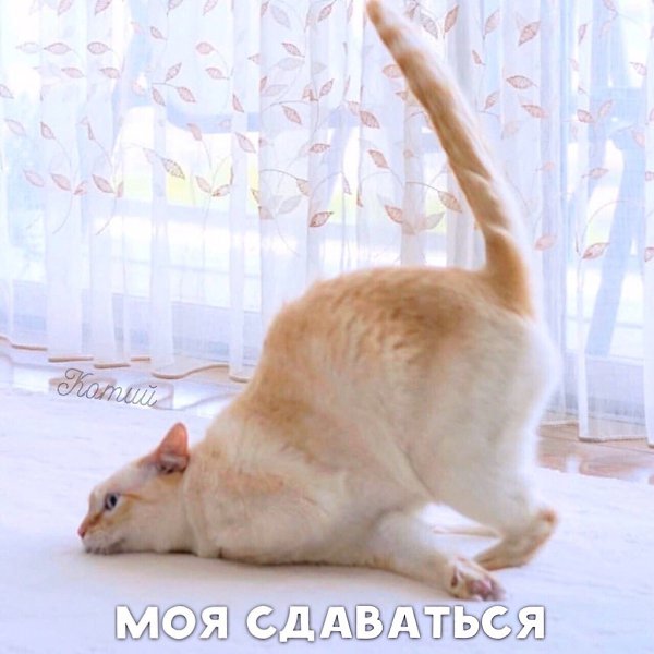     - 5