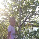 ���� ��������, ����������, 58 ��� - ��������� 20 ��� 2019 � ������ ������