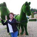 ���� �����, ���������� - ��������� 24 ������ 2019 � ������ ���� ����������