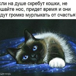 ���� ��������, ��� - ��������� 27 �������� 2019