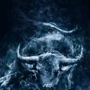 ���� �����, ������, 46 ��� - ��������� 31 ������� 2019