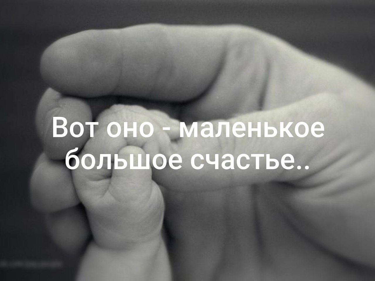    - 26  2019  02:31