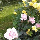 ���� ��������, �����-��������� - ��������� 5 ������� 2019 � ������ ������� � �������� �����.�