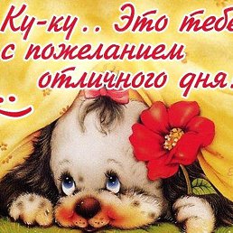 ���� �����, ������-��-����, 27 ��� - ��������� 30 ����� 2019