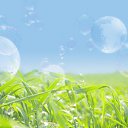 ���� �������, �����-���������, 51 ��� - ��������� 29 ����� 2019 � ������ ���� ����������