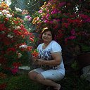 ���� �����, ��������, 56 ��� - ��������� 31 ������� 2019 � ������ ���� ����������