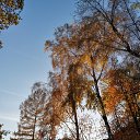  , , 50  -  9  2019    2019