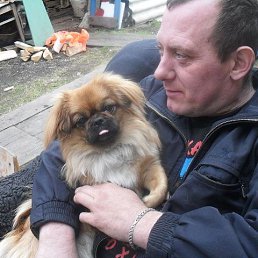 ��������, ������������, 51 ���