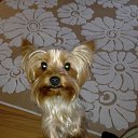 ���� ���������, ������, 42 ���� - ��������� 19 ������� 2019 � ������ ���� ����������