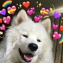 ���� ����� �����, �������� - ��������� 7 ���� 2019 � ������ ���� ����������