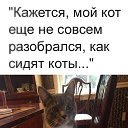 ���� �����, ����������, 64 ���� - ��������� 12 ������� 2019 � ������ ������ ��������