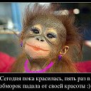 ���� Tea, ������ - ��������� 30 ������ 2019