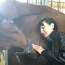 ���� ���������, �����������, 49 ��� - ��������� 16 ��� 2019 � ������ ���� ����������