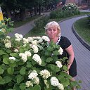 ���� ��������, ��������, 56 ��� - ��������� 14 ���� 2019