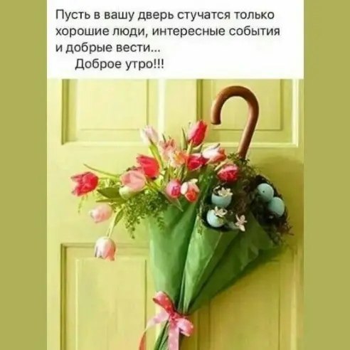- Доброе утро! -.Сегодня лучший день, поверь!А, почему? Да, ты проснулся!Открой окно, открой ты ...