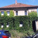 ���� �������, �����-��������� - ��������� 7 ���� 2019 � ������ ��������� �������