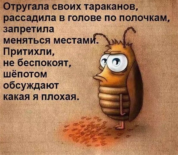   ! - 18  2019  13:11