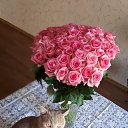 ���� ������, �������, 52 ���� - ��������� 11 ���� 2019 � ������ ���� ����������