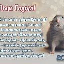 ���� �������, �����-���������, 40 ��� - ��������� 31 ������� 2019 � ������ ������ ��������