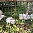 ���� Ashot, ������, 67 ��� - ��������� 24 ���� 2019 � ������ ������ ��������