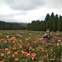 � ������ ���! �� ������� ����������� 2019�