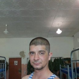 , 33, 