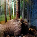 ���� Evgenia, ��������� - ��������� 26 ������� 2019 � ������ ���� ����������