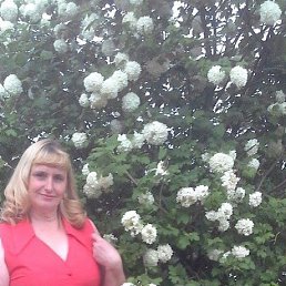 ����, ����