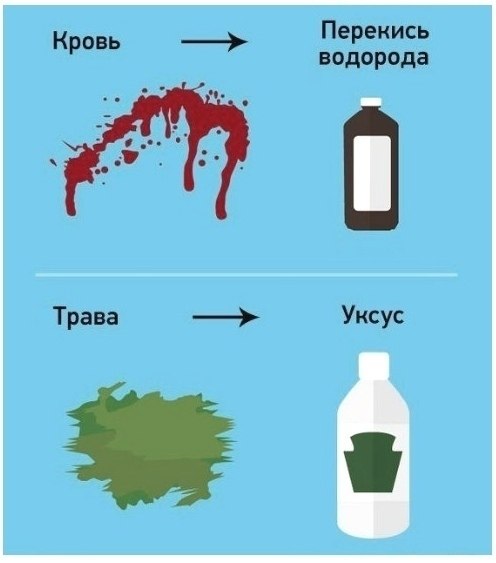 Выведение пятен часто непростая задача... Несколько решений избавления от обыденных ляпов и мараний! - 3