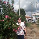 ���� �����, ������ - ��������� 24 ������ 2019 � ������ ���� ����������