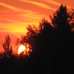 ��������, ������, 56 ���