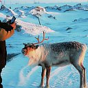 ���� ������, ������, 52 ���� - ��������� 5 ������ 2019 � ������ ���� ����������