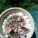 ���� Vidoje, �������, 61 ��� - ��������� 17 ������ 2019 � ������ ������ ��������