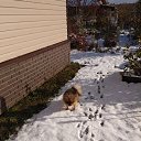  , -, 62  -  13  2019   