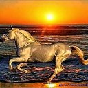 ���� ����, �������, 45 ��� - ��������� 12 ���� 2019 � ������ ���� ����������