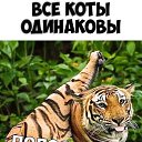 ���� �����, ������ - ��������� 11 ���� 2019