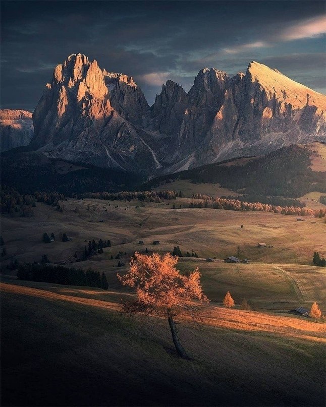 ���� � ���� ������� �����, ��� �� ������� �� ��� � ����� ����. - 6