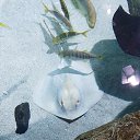 ���� �������, ������, 43 ���� - ��������� 4 ������� 2019 � ������ ���� ����������